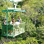 Gamboa Rainforest Reserve 