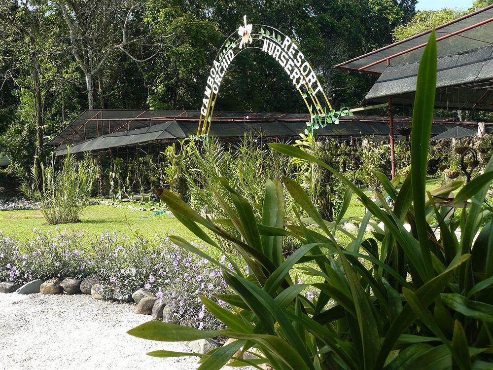 Rainforest Reserve Hotel 4*