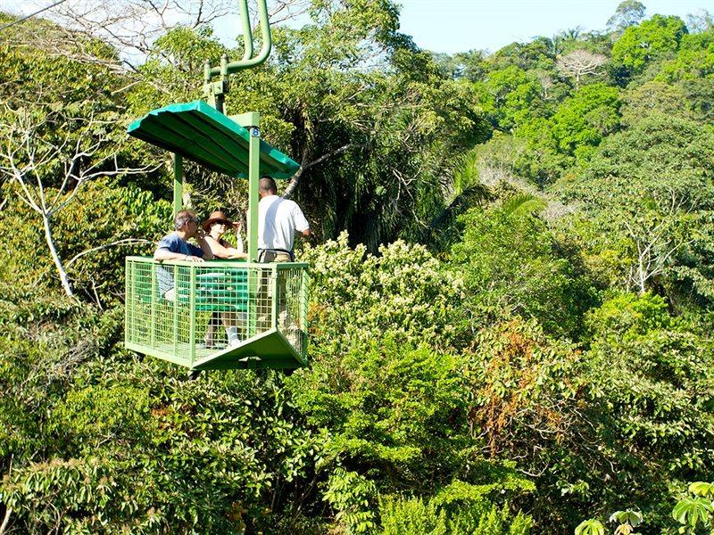 Rainforest Reserve Gamboa