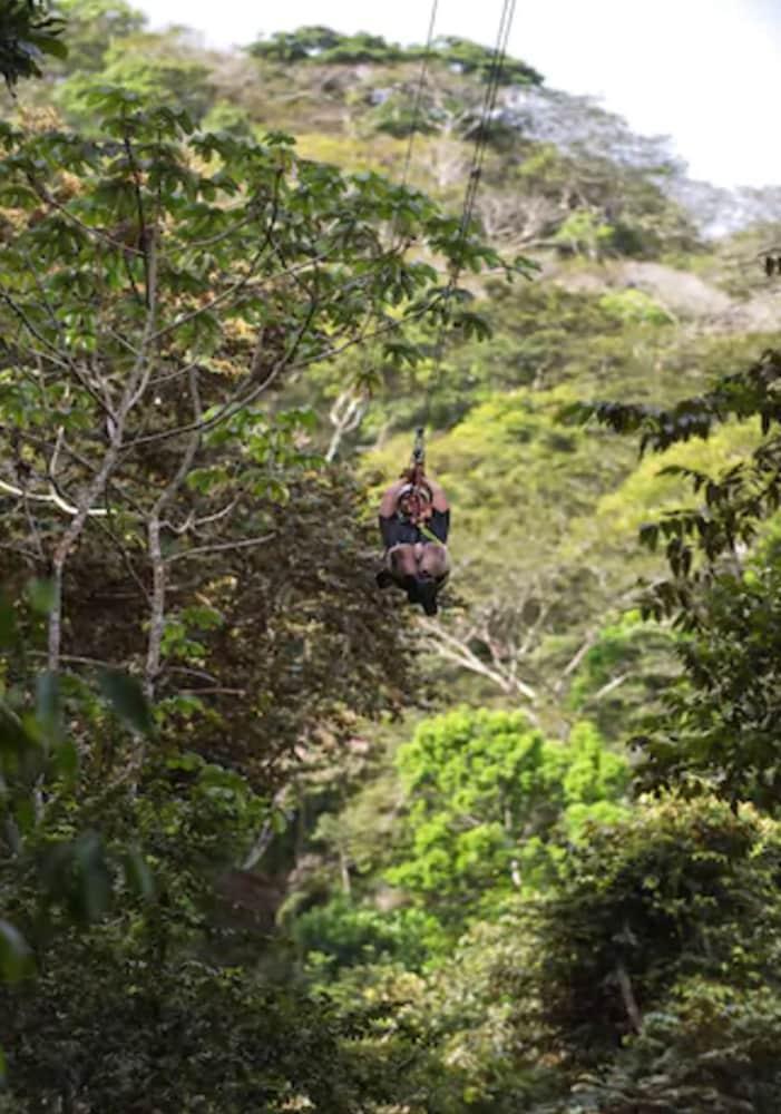 Rainforest Reserve Hotel Gamboa