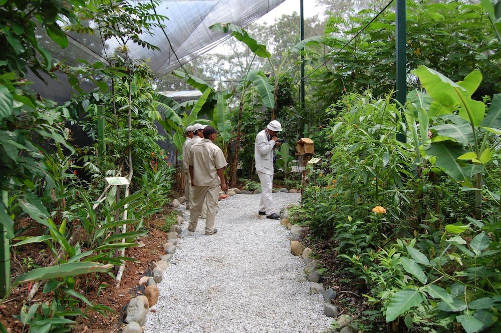Rainforest Reserve Gamboa