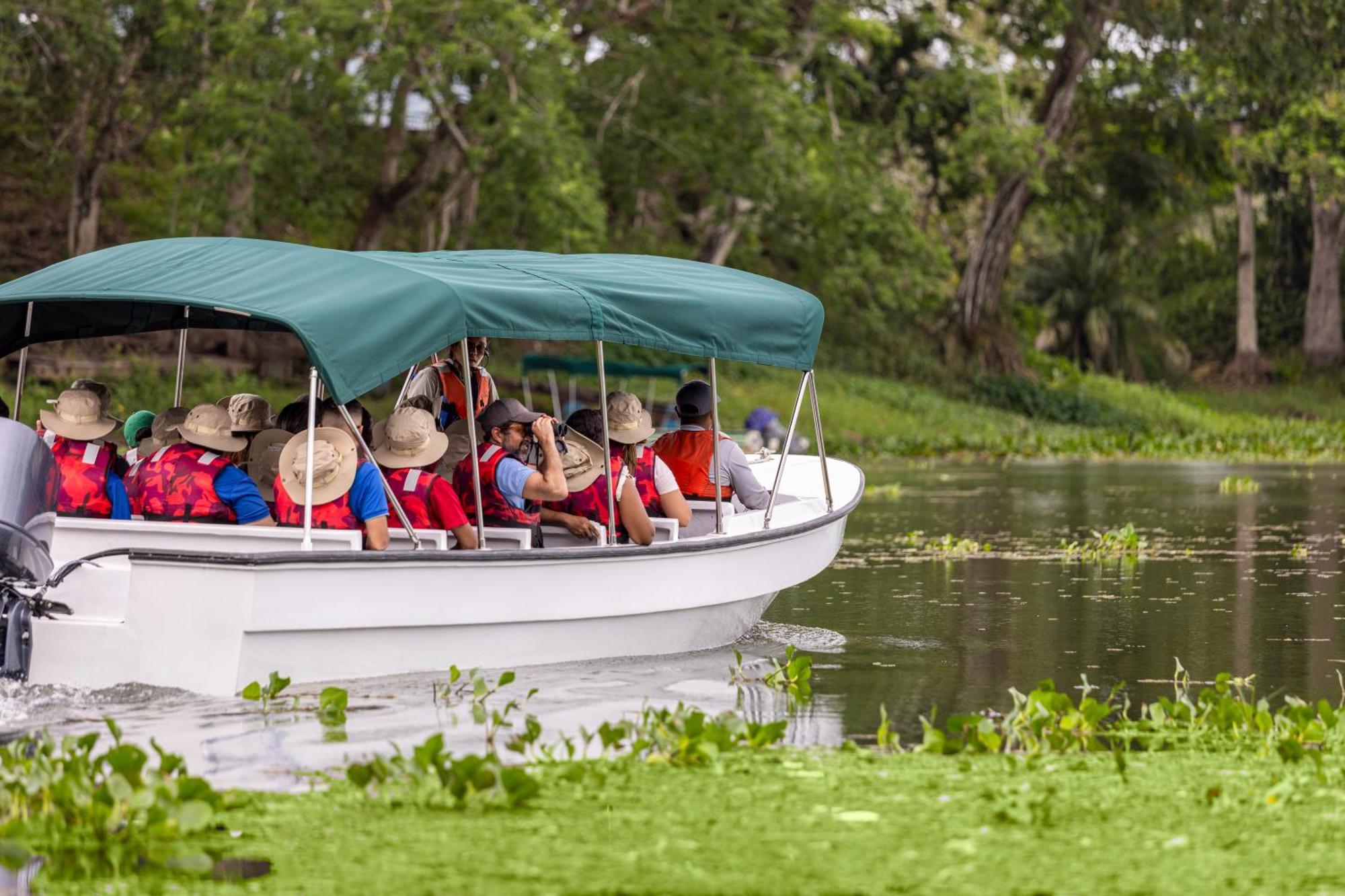 Rainforest Reserve