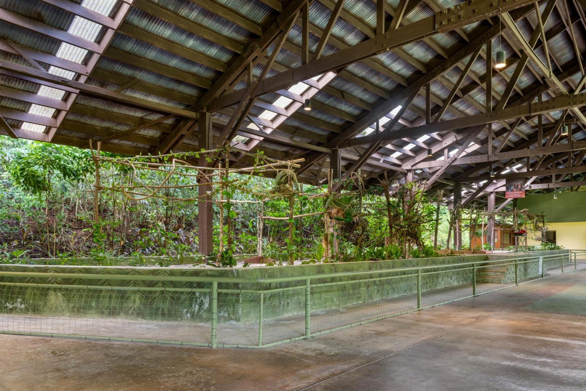 Rainforest Reserve Hotel Gamboa