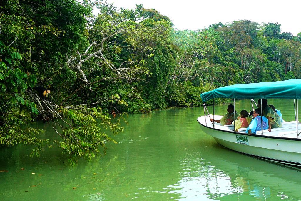 Rainforest Reserve 4* Gamboa