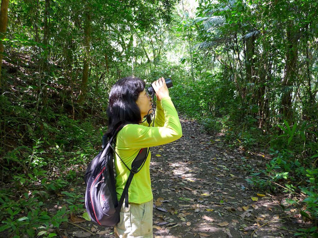Rainforest Reserve Hotel 4*