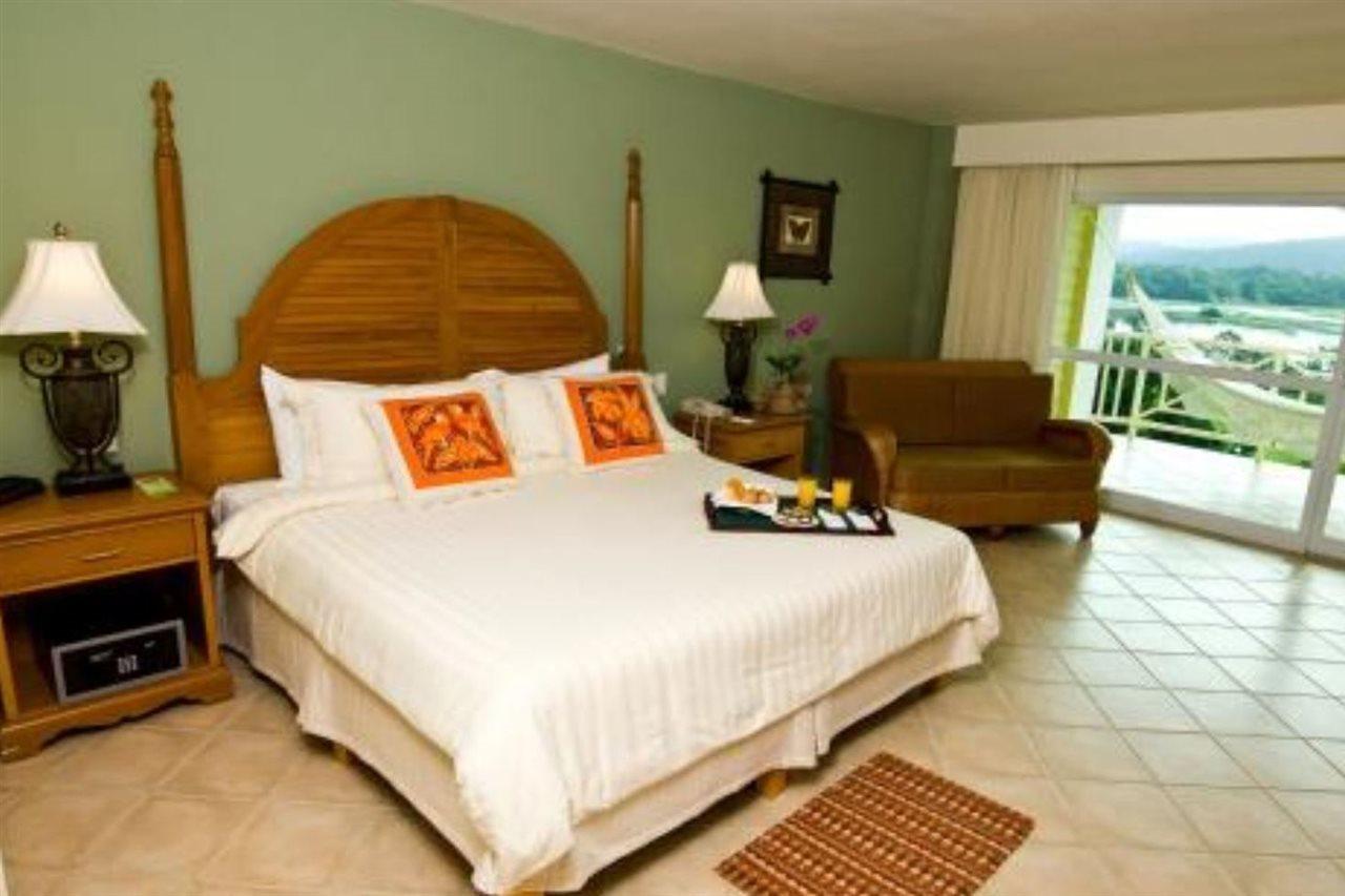 Rainforest Reserve 4*
